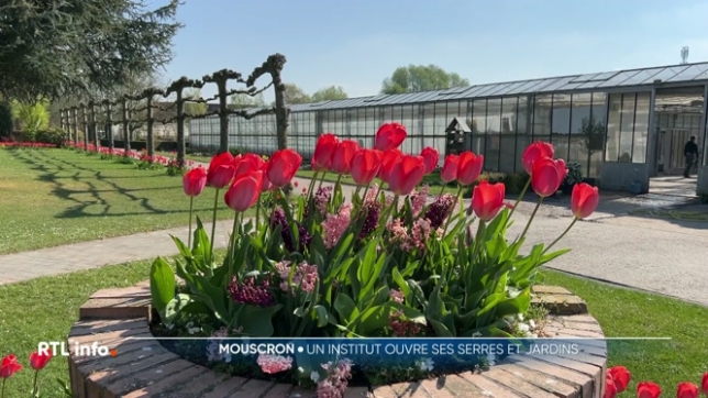 L'institut Le Tremplin à Mouscron ouvre ses serres et jardins au public les 18 et 19 avril, après 11 ans de fermeture. Cet évenement exceptionnel, préparé depuis un an par 60 élèves, permet aux Mouscronois de découvrir la section horticulture et son écrin de verdure.