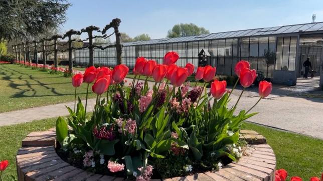 Institut Tremplin à Mouscron : les serres et jardins de la section horticulture