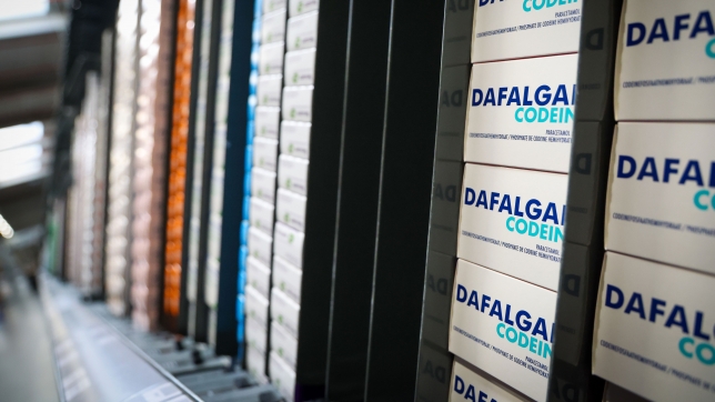 belgaimage-114213013