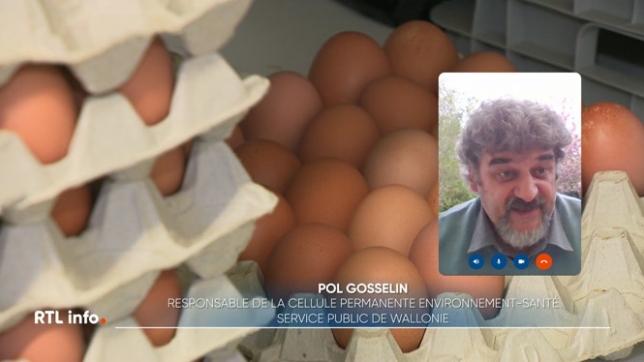 Les oeufs produits aux Pays-Bas contaminés par des PFAS ?