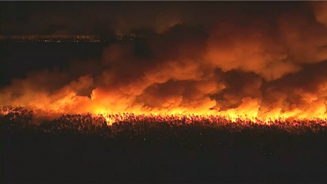 Un violent feu de forêt se propage dans le New Jersey: au moins 3.000 habitants évacués
