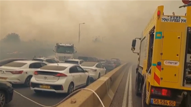 Des incendies dévastateurs près de Jérusalem nécessitent l'intervention de l'armée