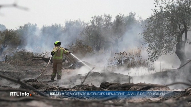 Les pompiers ont réussi à maitriser les incendies aux abords de Jérusalem