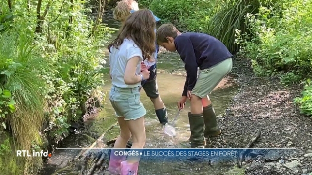 Pendant les vacances de printemps, l'asbl Charleroi Nature organise des stages dans le bois du Prince, un espace de 150 hectares. Les jeunes explorent la faune, la flore, et la biodiversité locale en attrapant des insectes, découvrant des tritons et visitant des grottes.