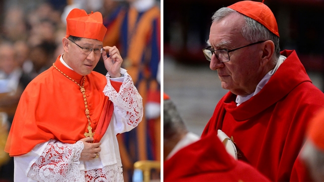 Tagle et Parolin