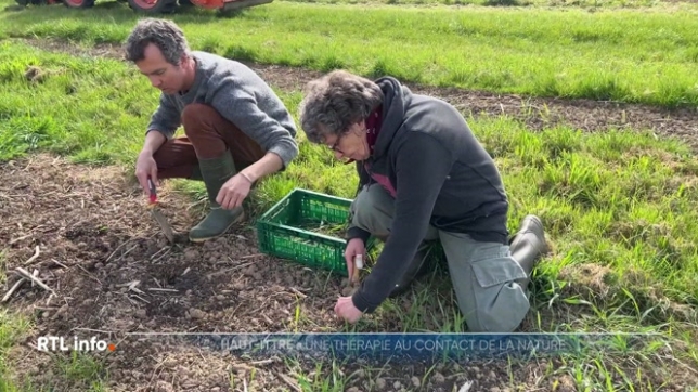 Ce que l’on appelle l'agriculture sociale est une pratique de plus en plus répandue. A Haut-Ittre, dans le Brabant wallon, des journées collectives de soins verts sont organisées et constituent une vraie thérapie au contact de la nature. De quoi s'agit-il concrètement ?