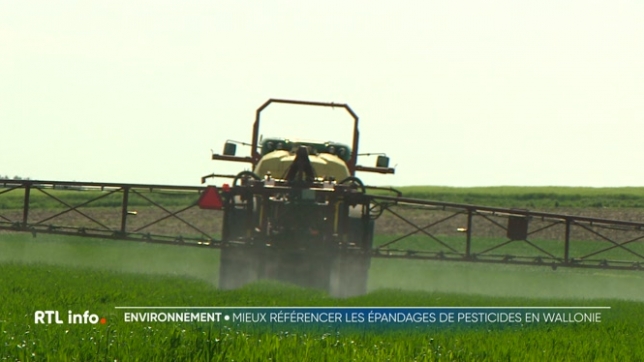 La politique wallonne d'utilisation durable des pesticides comporte d'importantes lacunes en matière de disponibilité de données et de statistiques, de planification, d'efficacité et de coordination de la politique mise en place, constate la Cour des comptes dans un audit publié lundi.