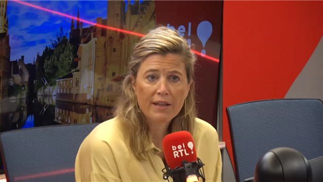 C'est l'avis de la ministre de la Justice Annelies Verlinden.