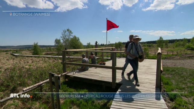 Sécheresse oblige, le drapeau rouge a été hissé mardi matin dans la Réserve naturelle des Hautes Fagnes en raison du risque d'incendie. Ce drapeau rouge a pour conséquence qu'il est interdit de se promener dans la zone.