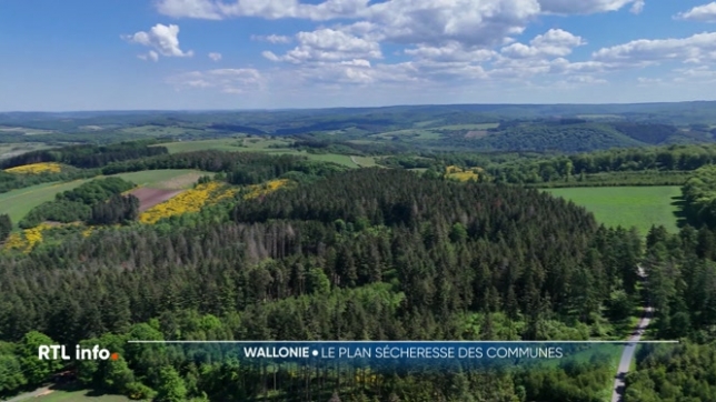 En Wallonie, la situation pourrait évoluer dans les semaines qui viennent. En attendant, certaines communes qui sont régulièrement touchées par des problèmes de sécheresse prennent déjà des mesures préventives.