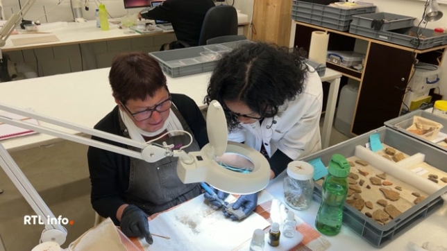 Au Centre de Conservation du Préhistomuseum de Flémalle, les archéologues professionnels sont aidés par des bénévoles une fois par semaine. Ces derniers aident à préserver et marquer les différents objets.