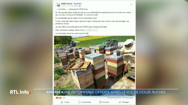 Un apiculteur de la région namuroise s'est fait voler ses ruches, il y a quelques jours. Pour les retrouver, il offre une récompense. La perte serait importante pour lui, d'autant plus que la récole de miel s'annonce exceptionnelle cette année.