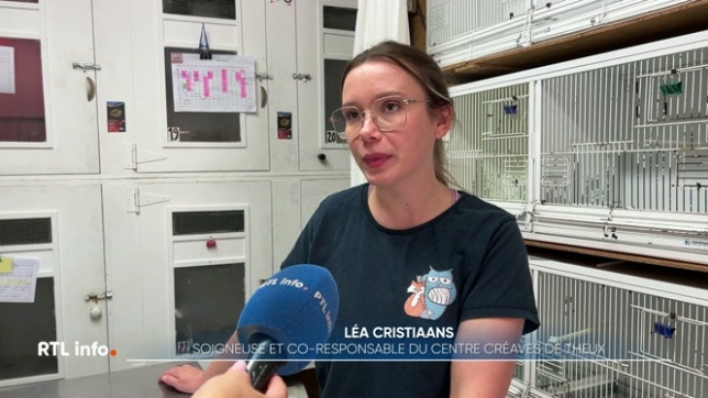 Le Creaves Le Martinet, niché au coeur du Parc Forestia à Theux, recueille, soigne et relâche chaque année des centaines d'animaux sauvages en détresse. C'est une mission qui exige un matériel coûteux. En tant qu'ASBL, ses moyens sont limités, c'est pourquoi il lance un appel aux dons.