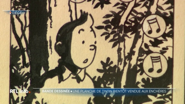 Une planche originale et rare d'Hergé, issue de l’album Les Bijoux de la Castafiore (1963), sera mise aux enchères ce week-end à Liège. Estimée entre 120 000 et 140 000 euros, elle sera exposée avant la vente, permettant aux amateurs de bande dessinée d'admirer cette oeuvre exceptionnelle.