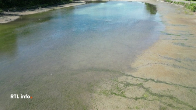 Des images prises à Oud-Heverlee, entre Bruxelles et Louvain, montrent des étangs asséchés, des réserves d'eau à un niveau très bas ou encore des champs très secs. Des images à revoir sur l'application RTLinfo.
