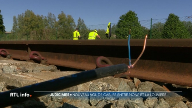 La circulation des trains a été interrompue ce matin entre Mons et La Louvière en raison d'un vol de câbles survenu la nuit dernière à Obourg. Infrabel, les gestionnaire du réseau, a dû intervenir pour rétablir le trafic ferroviaire au plus vite. Explications.
