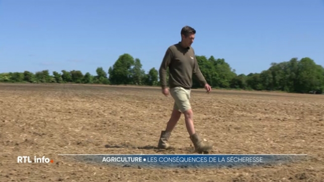 Nous ne sommes qu'au mois de mai et la sécheresse inquiète déjà les agriculteurs. Il y a 132 ans que notre pays n'a plus connu un tel déficit d'eau à cette période de l'année. Il s'agit du printemps le plus sec depuis 1993. Les cultures de pommes de terre, de betteraves et de chicorées sont touchées