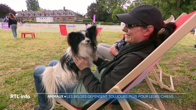 Durant tout ce week-end, les chiens et leurs maîtres s'offrent la vie de château à Louvignies. La place des compagnons à 4 pattes est de plus en plus importante au sein des foyers.