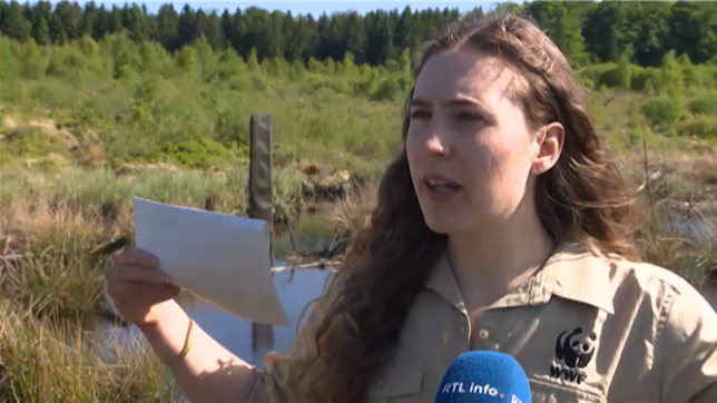 Interview de Sébastien Prophète et Michaël Harvie.