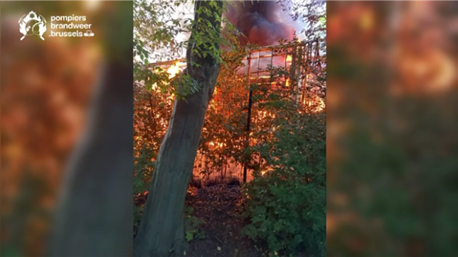 Un incendie dévore une serre du parc Josaphat à Bruxelles.