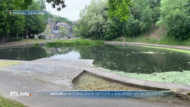 C'est une bonne nouvelle pour tout un quartier à Ensival : l'étang des Clarisses sera bientôt nettoyé. Il est en mauvais état depuis les inondations de juillet 2021. Les habitants se plaignent notamment des mauvaises odeurs et de leur cadre de vie.
