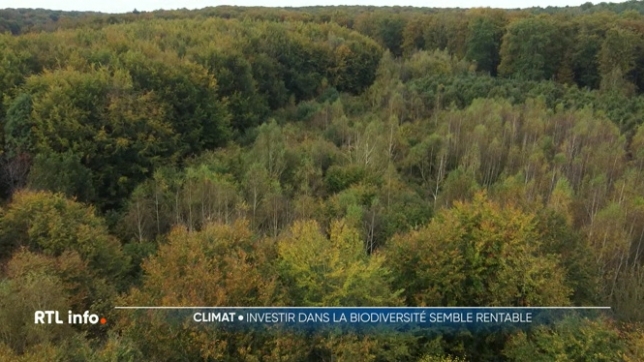 Protéger la nature et investir dans la bio-diversité est aussi rentable sur le plan économique. C'est ce que confirme aujourd'hui le WWF, le Fonds mondial pour la nature. D'après ses calculs, 1 euro investi dans la nature, en Belgique, en rapporterait 51 à la société.