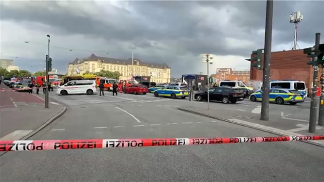 Drame à la gare de Hambourg en Allemagne: une femme poignarde au moins 18 personnes