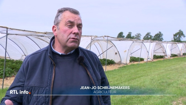La pluie, qui a fait son apparition par endroit ce matin, devrait encore tomber dans les prochains jours, mettant fin, du moins provisoirement, à la sécheresse exceptionnelle qui touche le nord de l'Europe depuis plusieurs semaines. Vany Esposito est en direct de Juprelle.