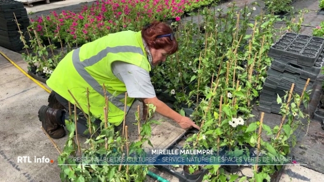 Depuis quelques semaines, de nombreuses communes refleurissent leur territoire. C'est le cas à Namur où 660 bacs de fleurs, 80 parterres et 75 suspensions ont été installés. Découverte des serres de la commune.