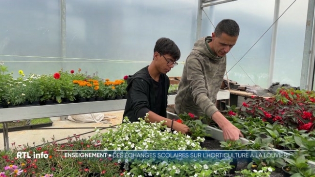 Quatre apprentis de l'île de la Réunion et leurs accompagnants ont été accueillis à La Louvière par la section horticulture de l'école Roger Roch dans le cadre d'un échange Erasmus. Ils ont découvert les méthodes locales de culture et de pousse des plantes.