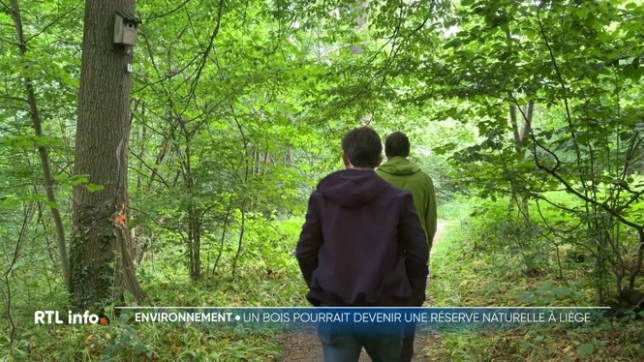 La Ville de Liège a demandé à classer le bois de Wandre, une forêt périurbaine, en réserve naturelle pour protéger durablement sa biodiversité. Le massif de 67 hectares pourrait obtenir ce statut fin 2025 ou début 2026.