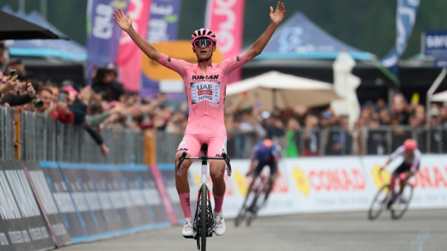 design_sans_titre_12