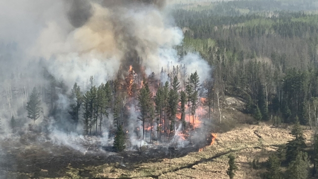 canada-feux-de-forets