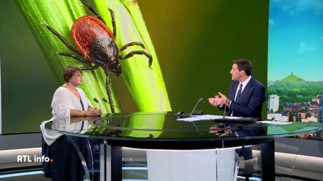 On retrouve en plateau Lara Kotlar, porte-parole de l'Aviq, qui donne ses conseils pour se protéger des insectes indésirables.