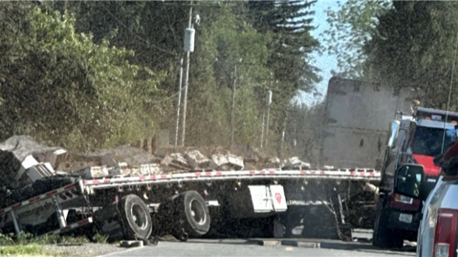Un camion renversé dans l’État de Washington libère 250 millions d’abeilles, poussant la police à alerter la population. Routes fermées et apiculteurs mobilisés près de la frontière canadienne pour gérer l’impressionnant essaim en liberté.