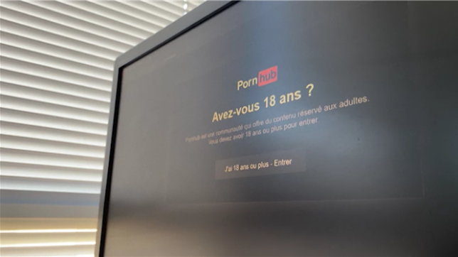 Le bras de fer entre le gouvernement français et le groupe canadien Aylo, propriétaire de plusieurs géants du porno en ligne, prend un nouveau tournant.