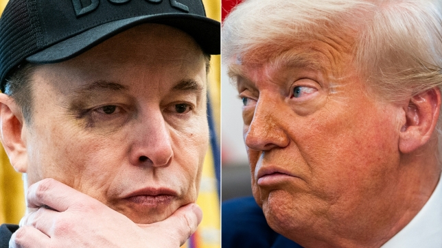Elon Musk vs Donald Trump