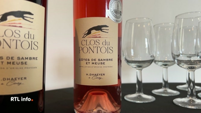 Le Clos du Pontois 2024, un vin rosé tranquille produit près de Ciney, a reçu la médaille d'argent au Concours Mondial de Bruxelles 2025 qui s'est déroulé en Roumanie. Fruit du travail de Guy Dhaeyer, le vin provient d'un vignoble encore jeune planté dans la région des Côtes de Sambre et Meuse.
