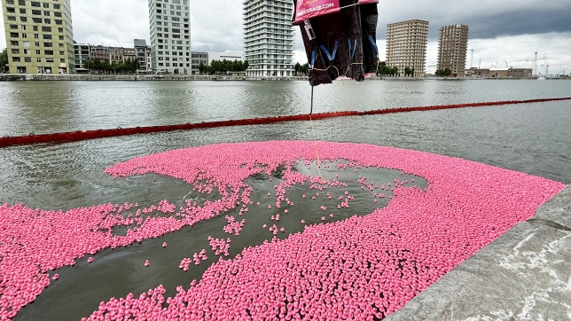 20 000 canards roses photographiés lors de la Pink Duck Race au Kattendijkdok-Oostkaai, à Anvers, le samedi 7 juin 2025. Avec cette course, Think Pink attire l’attention sur la lutte contre le cancer du sein.