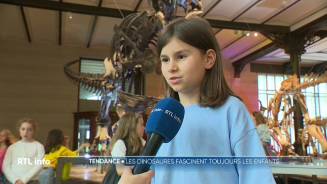 Dino World ouvre ses portes aujourd'hui, pour une 4e édition, au palais 2 de Brussels Expo, et sera accessible jusqu'au 31 août prochain. Plus de 60 dinosaures animés sont exposés sur un espace de plus de 5.000 m2.