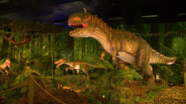 grab_20250608_174006_1023