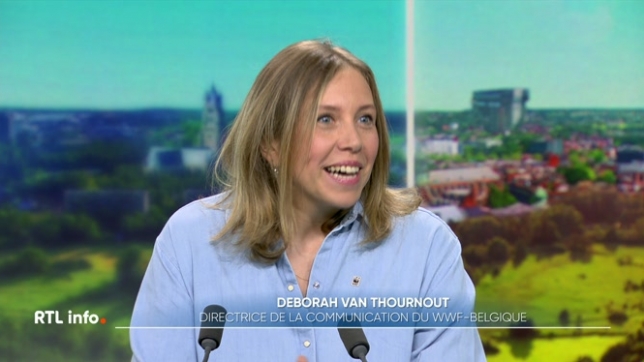 La conférence de l'ONU pour la sauvegarde des océans s'est ouverte à Nice. La Belgique est aussi concernée par cette problématique, notamment à travers ce qui se passe en Mer du Nord. Contrairement à ce qu'on pourrait croire, “notre” mer abrite une biodiversité remarquable.