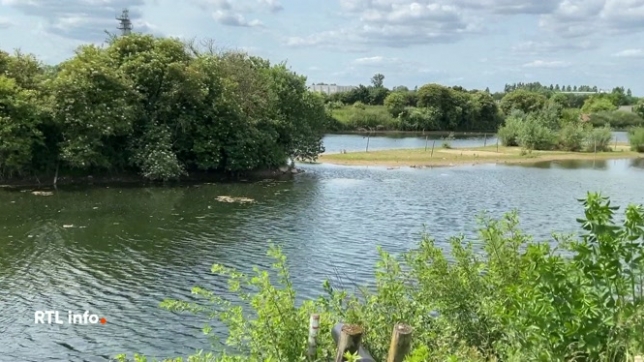 Le site de 20 hectares est encore en cours d'aménagement mais une tour observatoire de 15 mètres de haut permet d'observer les oiseaux de passage dans la réserve domaniale naturelle. Un paradis pour les ornithologues qui ont recensé plus 191 espèces d'oiseaux. Visite guidée du site.