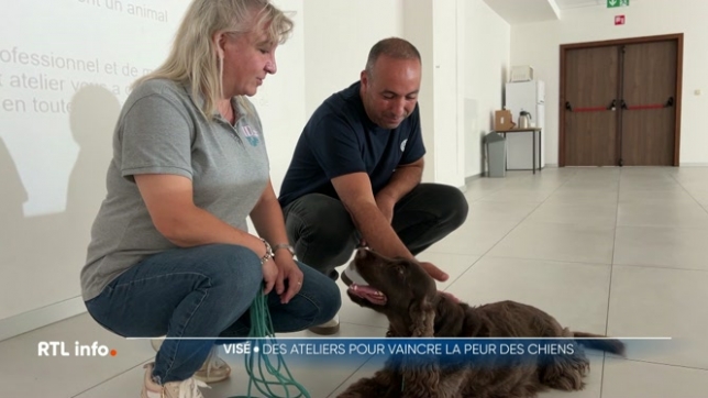 Ils sont parfois source d’angoisse et pourtant, les chiens peuvent aussi devenir de précieux alliés. En région liégeoise, une ASBL propose des ateliers pour mieux comprendre nos compagnons à quatre pattes, avec l’objectif de vaincre ses peurs, surtout pour les aides-soignants à domicile.