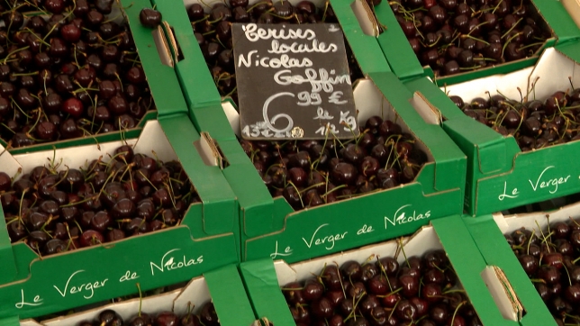 Les cerises ont du succès cette année