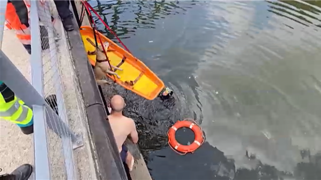 Un joggeur sauve Wallace, un chien tombé dans l'eau de la Sambre à Charleroi