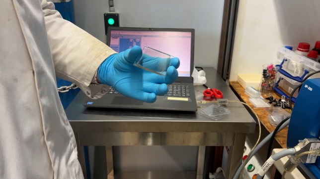 Par un procédé de modulation des propriétés optiques du verre, le vitrage peut décider de ce qu’il laissera passer ou non.