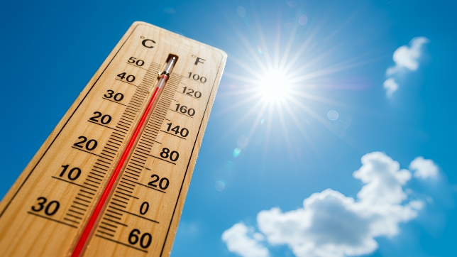La température va atteindre plus de 30°C localement samedi et dimanche.