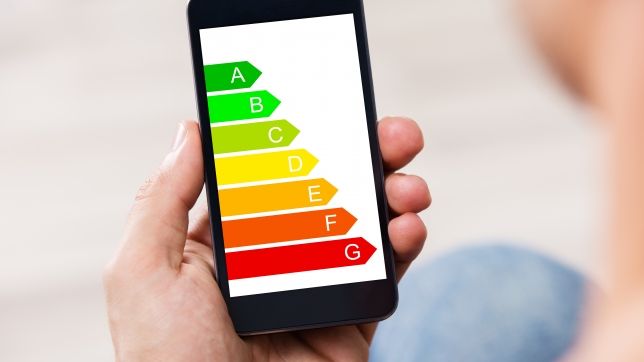 Gros plan de la main d’un homme tenant un téléphone portable avec un tableau d’efficacité énergétique à l’écran.