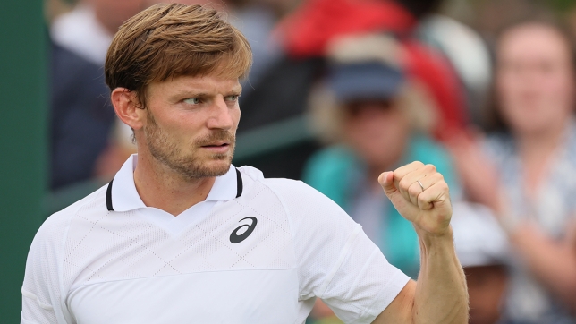 David Goffin à Wimbledon en 2024